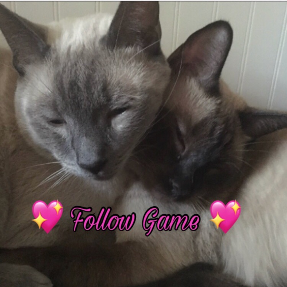 Follow Game!